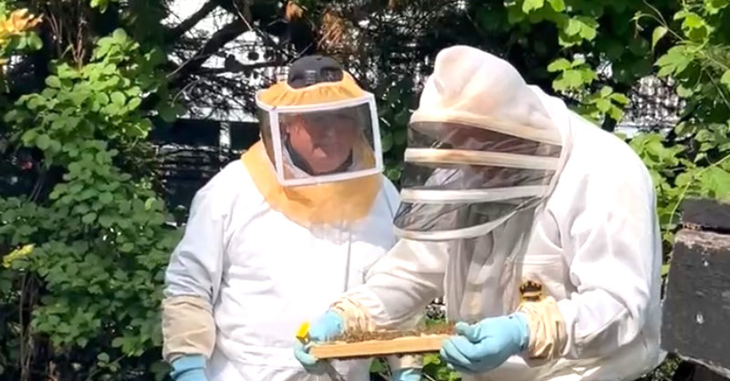 Here's The Latest 'Buzz' In Atlantic Highlands – David Burke: Beekeeper